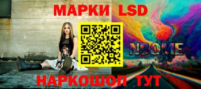 дурь Гай