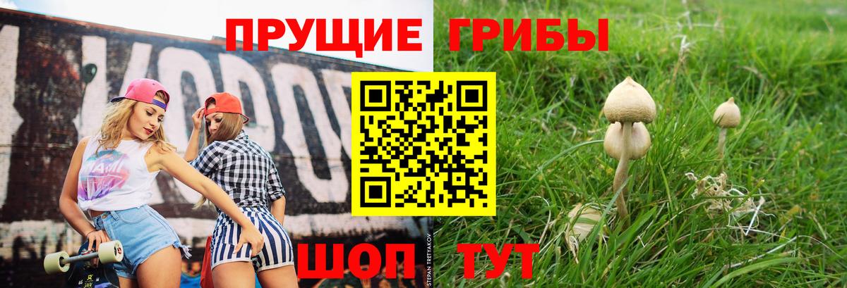 Галлюциногенные грибы прущие грибы Жигулёвск