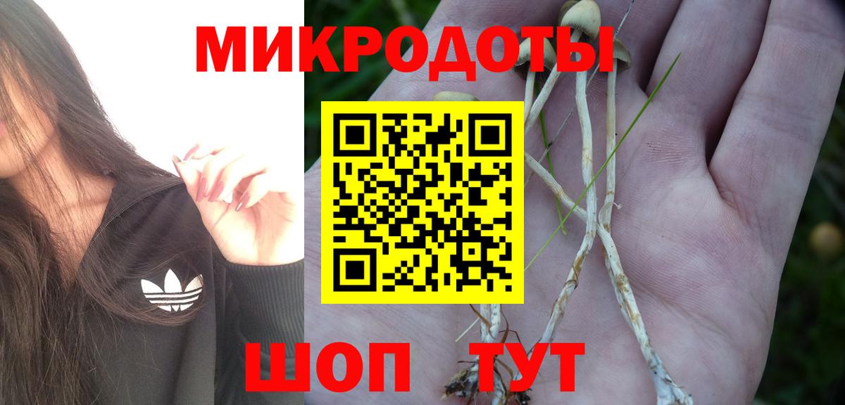 Псилоцибиновые грибы мухоморы  закладка  Жигулёвск  Вход с VPN 