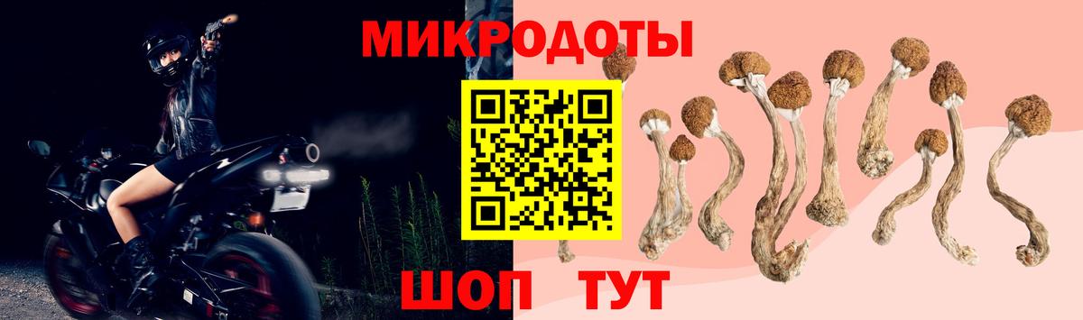 Псилоцибиновые грибы Psilocybe  Галлюциногенные грибы мухоморы  Жигулёвск 
